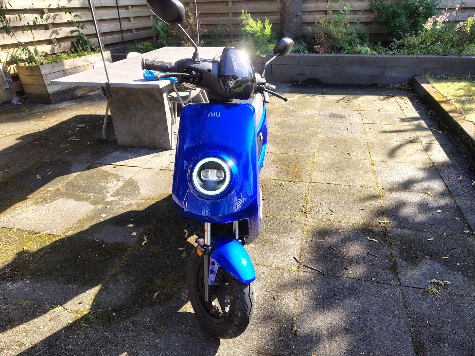 Elektrische Niu Scooter M+Sport - 836KM - Geel Kenteken, Ophalen, Overige typen, Overige merken