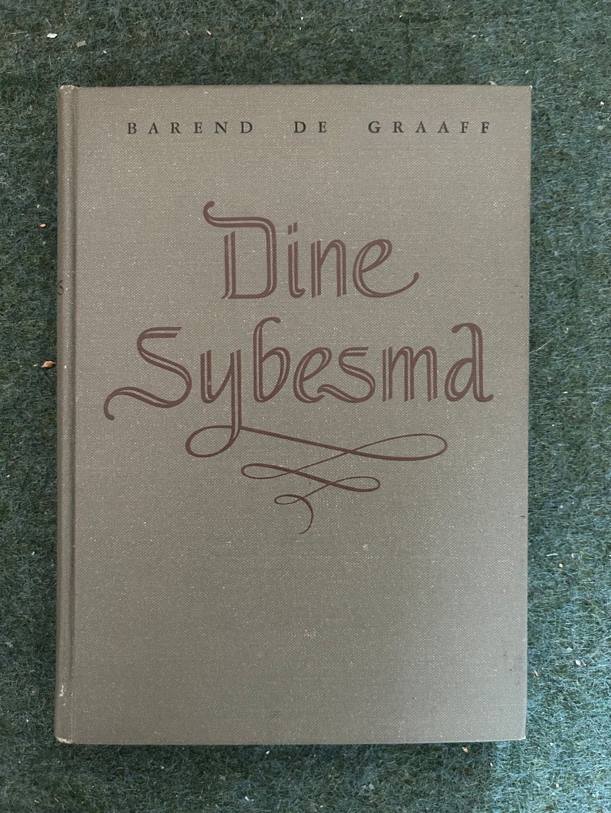 Dine Sybesma  - Barend de Graaff boek, Ophalen of Verzenden, Gelezen, Nederland
