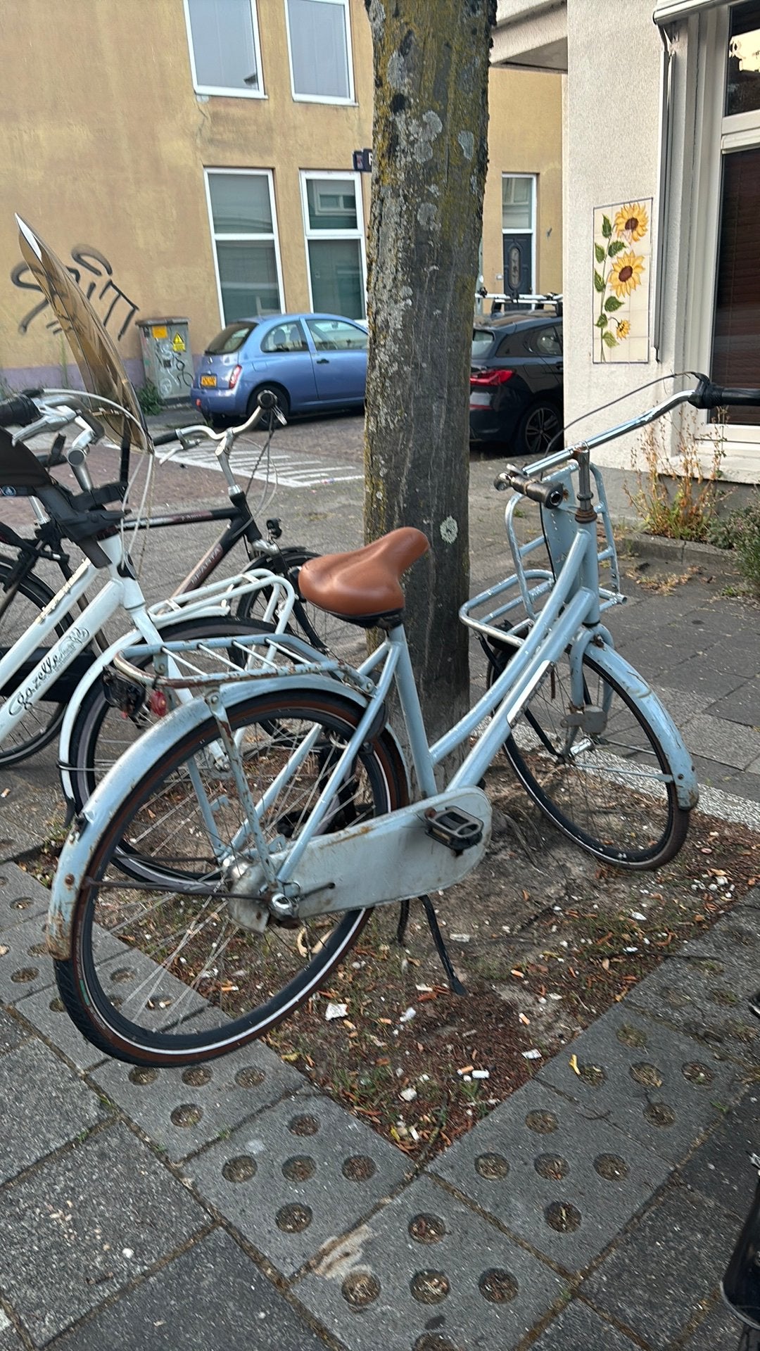Dames fiets (opknapper), Fietsen en Brommers, Fietsen | Dames | Damesfietsen, Terugtraprem, Gebruikt, Versnellingen, Ophalen