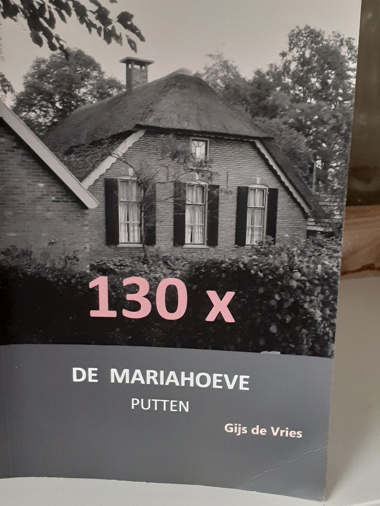 Boek De Mariahoeve, Ophalen of Verzenden, 20e eeuw of later, Zo goed als nieuw, Gijs de Vries