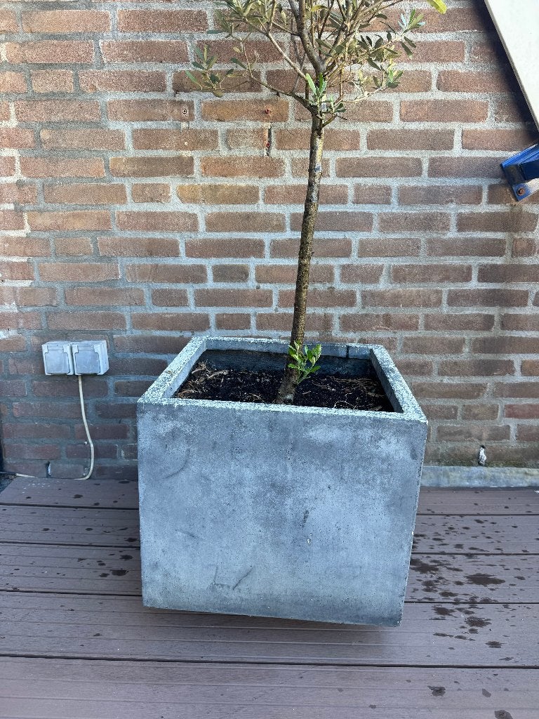Plantenbakken (grijs, vierkant), Tuin en Terras, Bloembakken en Plantenbakken, Ophalen, Overige materialen, Gebruikt, Minder dan 60 cm