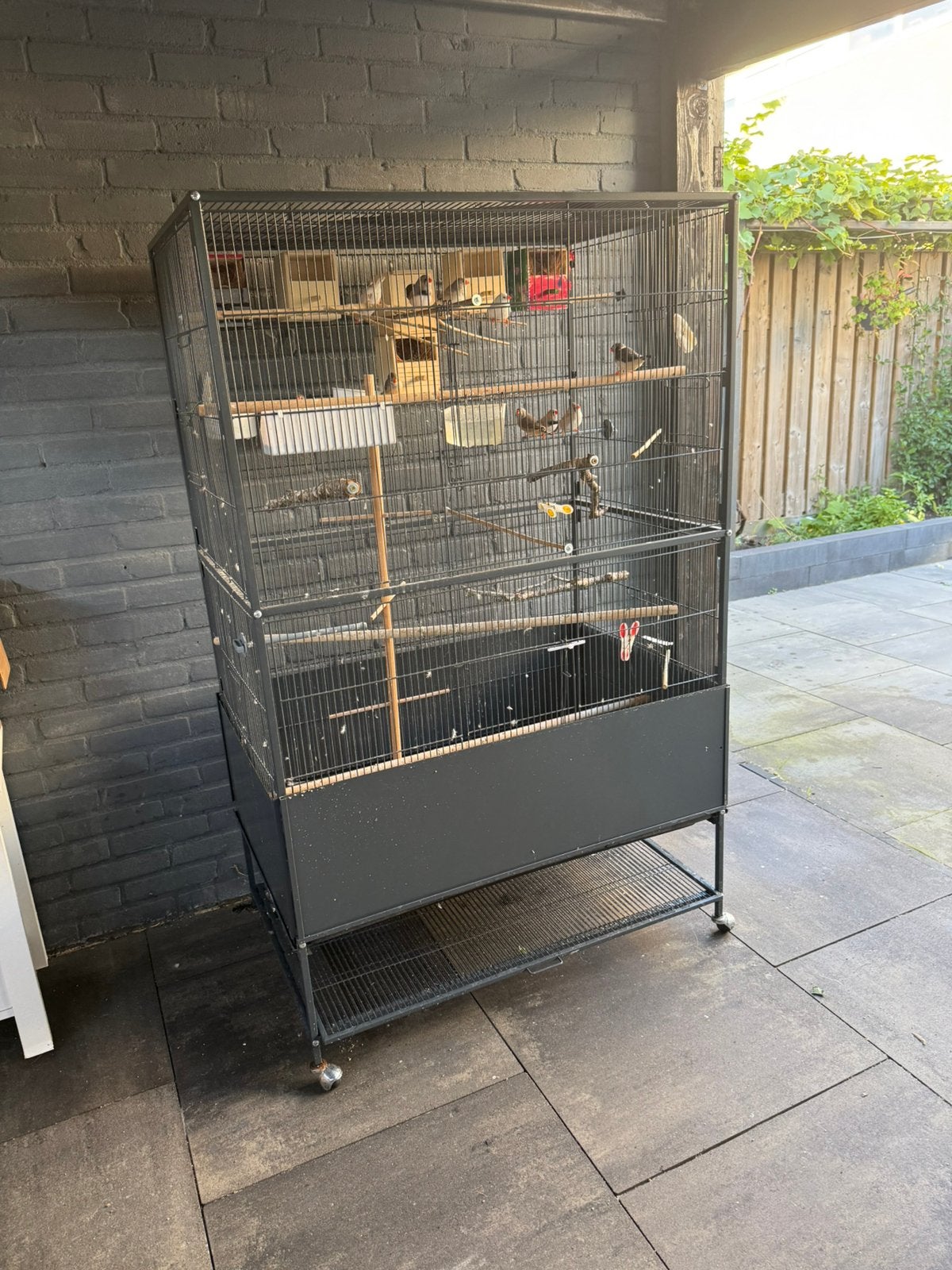 Vogel an zebravink, Dieren en Toebehoren, Ophalen of Verzenden, Zo goed als nieuw, Hout, Vogelkooi