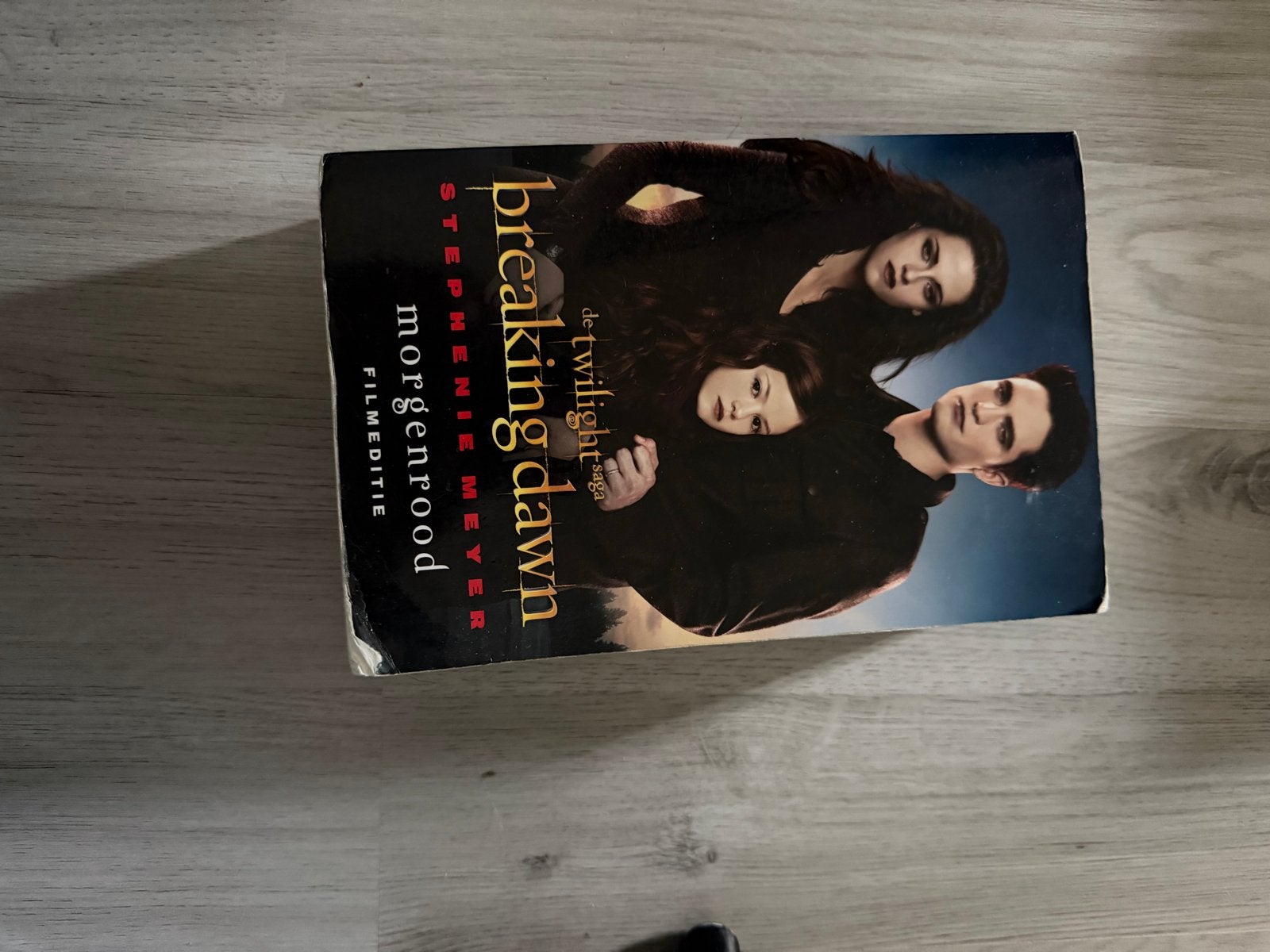 Breaking Dawn - De Twilight Saga - Stephenie Meyer, Ophalen of Verzenden, Gelezen