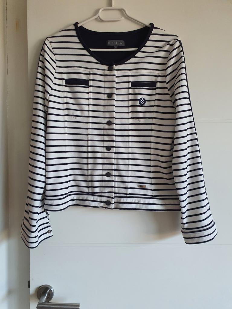Kort gestreept vestje/jasje/blazer van IVY & YOU, maat XL, Kleding | Dames, Wit, Maat 46/48 (XL) of groter, Ophalen of Verzenden