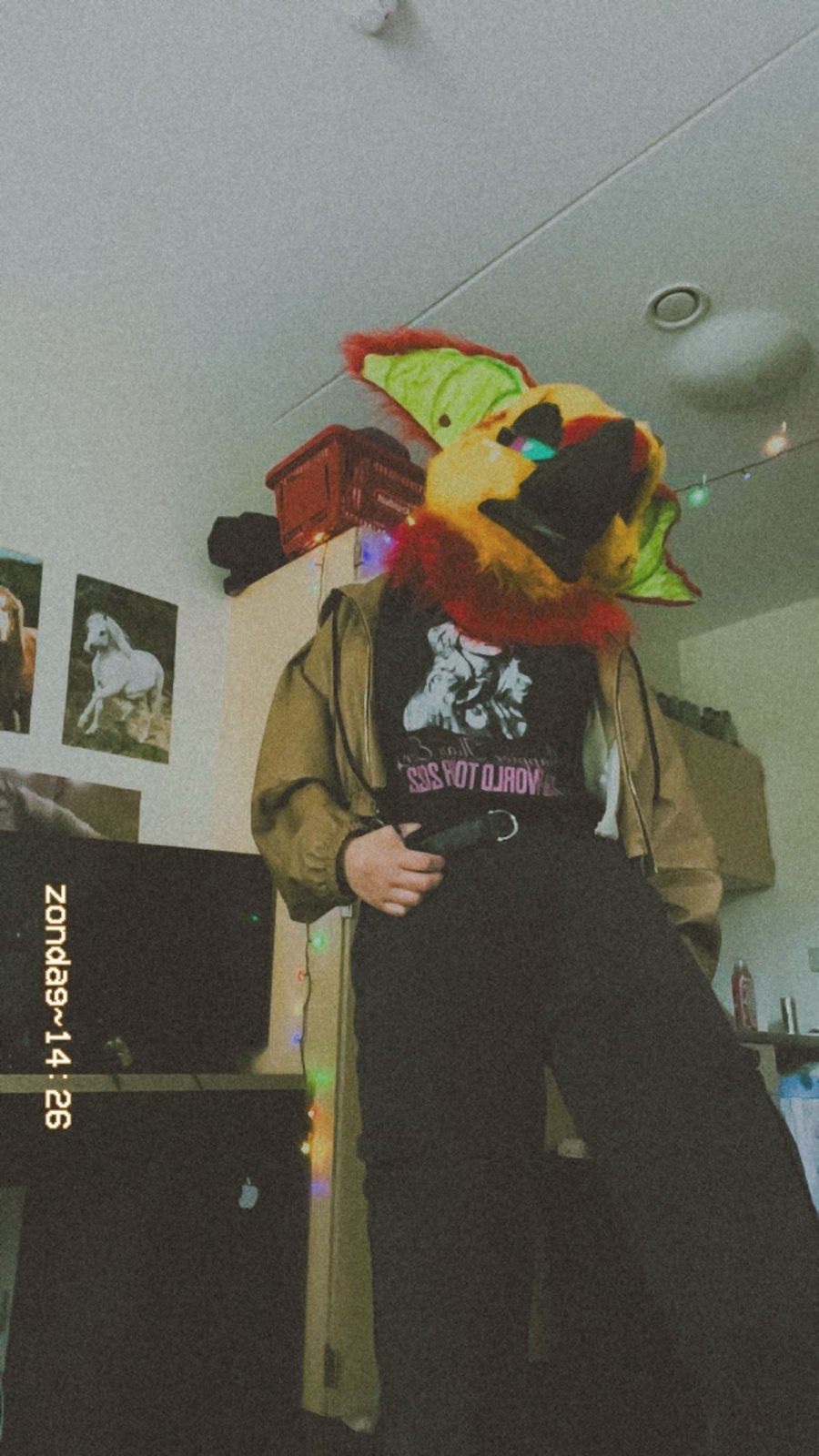 Kleurrijke Fursuit Hoofd - Uniek en Handgemaakt, Ophalen of Verzenden, Gebruikt, Toneelattributen of Onderdelen