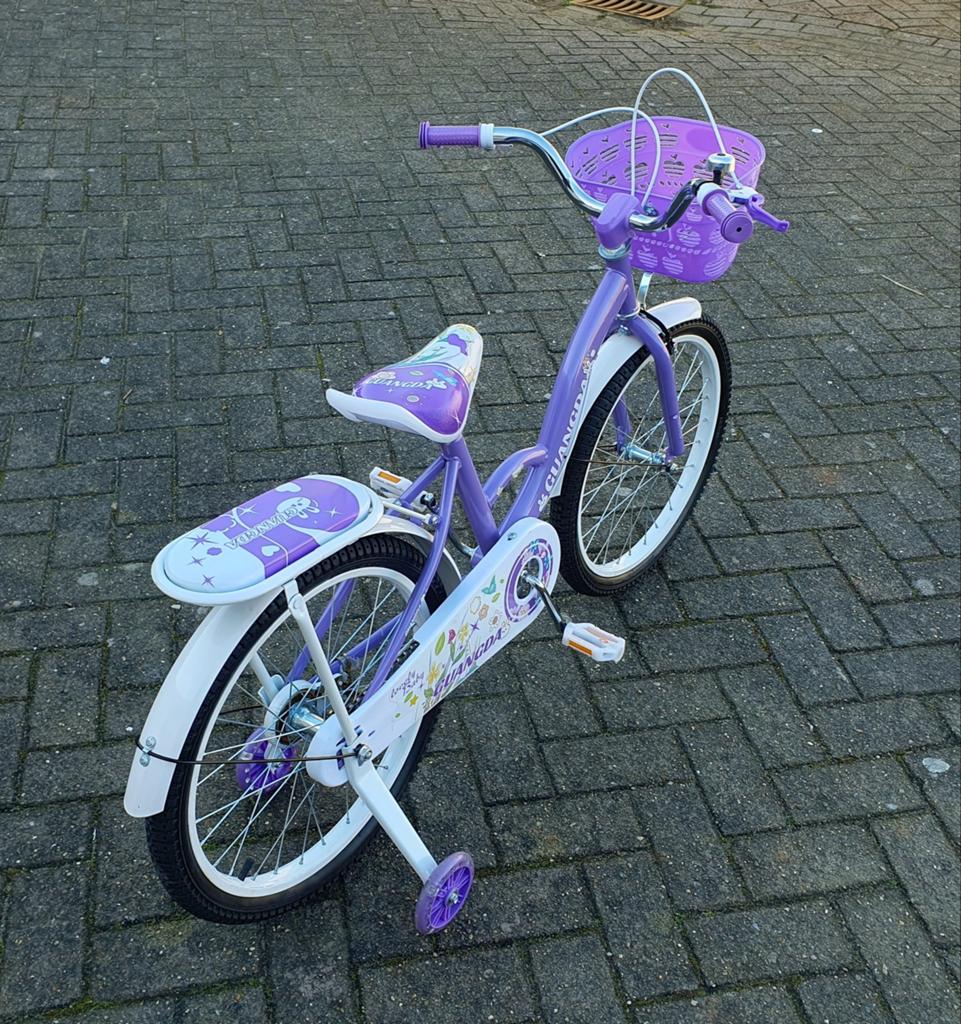 Nieuwe stoere meisjesfiets 20 inch (NIEUW IN DOOS), Fietsen en Brommers, Meisjesfiets, Nieuw, Ophalen of Verzenden, 20 inch