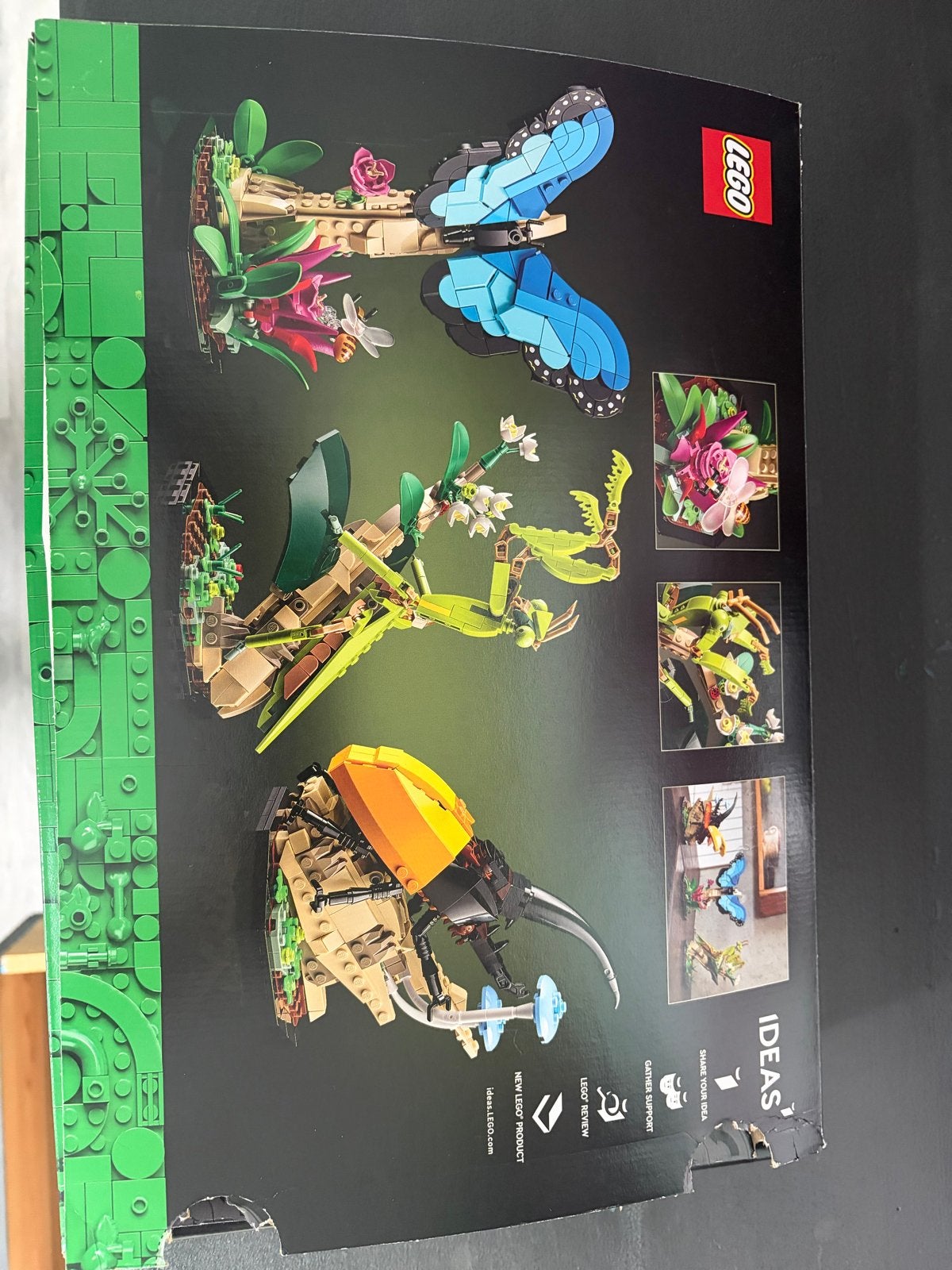 LEGO Ideas 21342 De Insectencollectie -  in doos, Ophalen of Verzenden, Zo goed als nieuw, Overige merken
