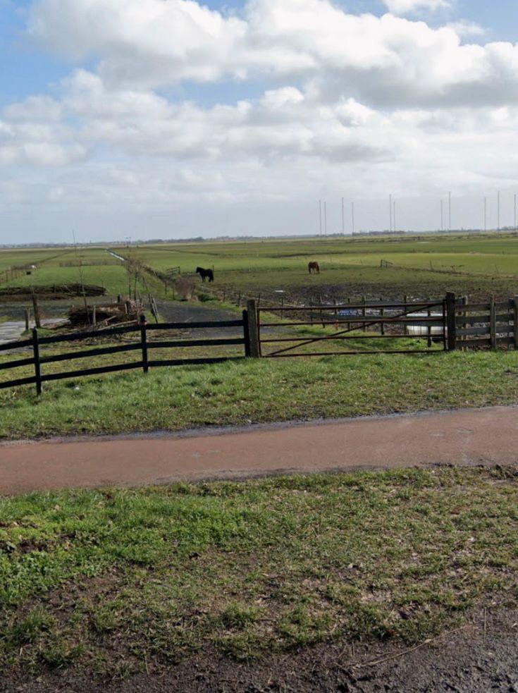 Perceel weiland 2220m2 te Eemnes, Weidegang, 1 paard of pony