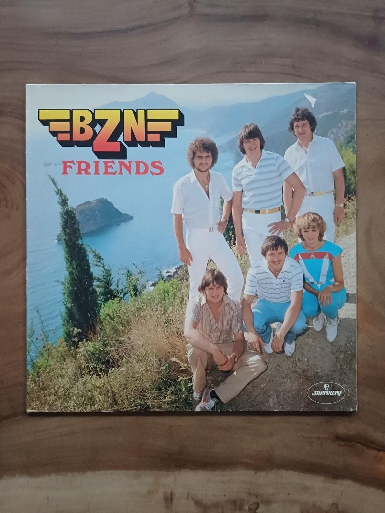 BZN - Friends - Vinyl, Ophalen of Verzenden, Gebruikt