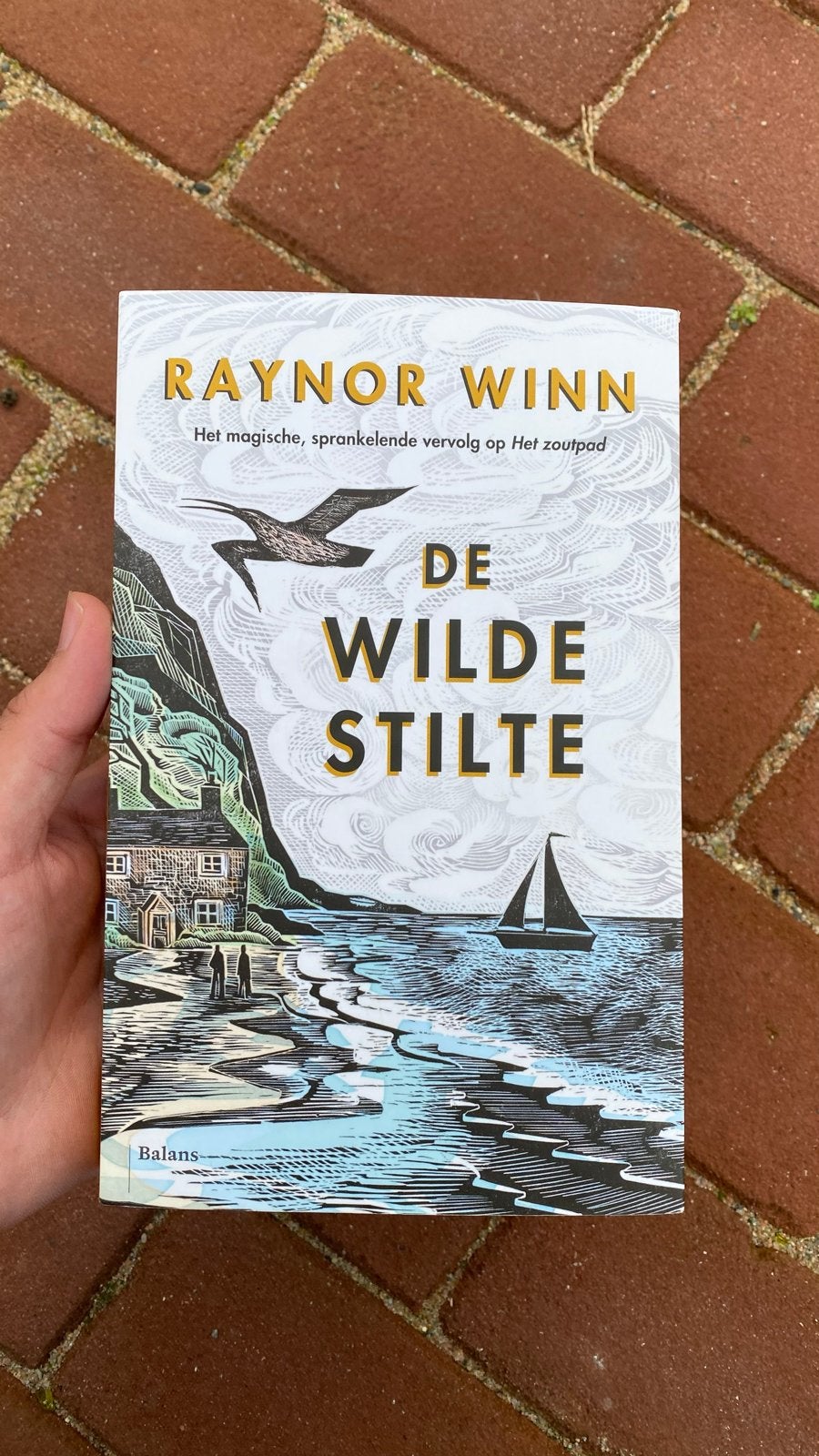 De Wilde Stilte - Raynor Winn (Zo goed als nieuw), Ophalen of Verzenden, Zo goed als nieuw, Nederland