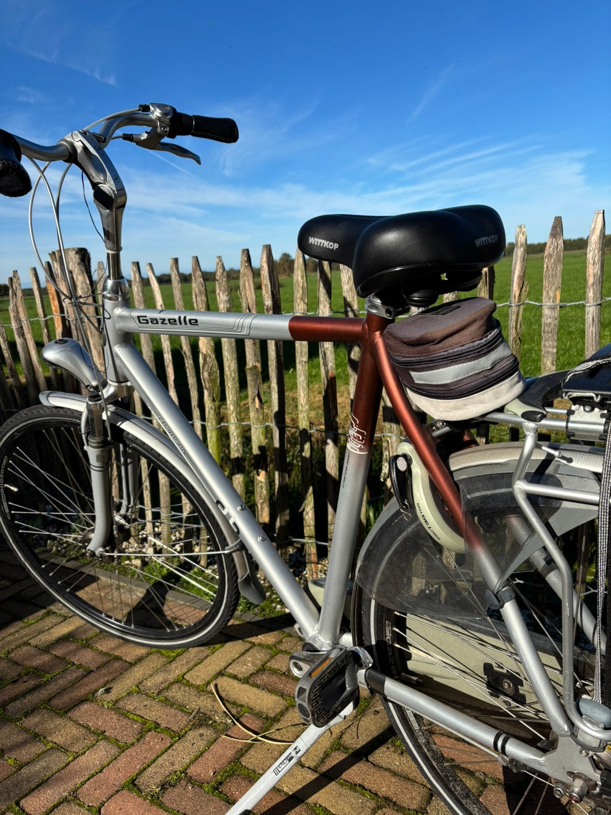 Herenfiets Gazelle Chamonix, Ophalen, Gebruikt, Versnellingen, 61 tot 65 cm
