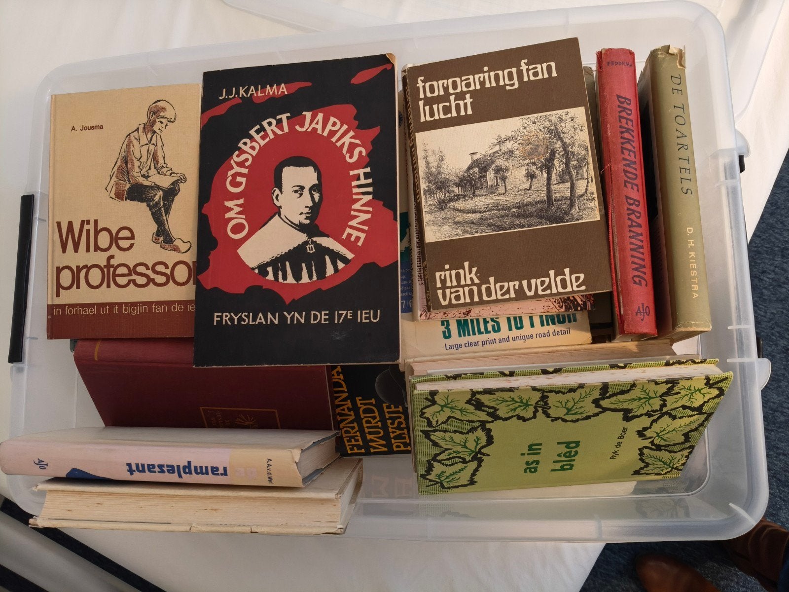 Diverse Friese boeken - Paulus Akkerman, Rink van der Velde, Ophalen, Gelezen, Paulus Akkerman, Rink van der Velde, J.J. Kalma