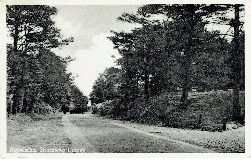 Ansichtkaart Appelscha Straatweg Duinen, Verzenden, 1940 tot 1960, Gelopen, Friesland