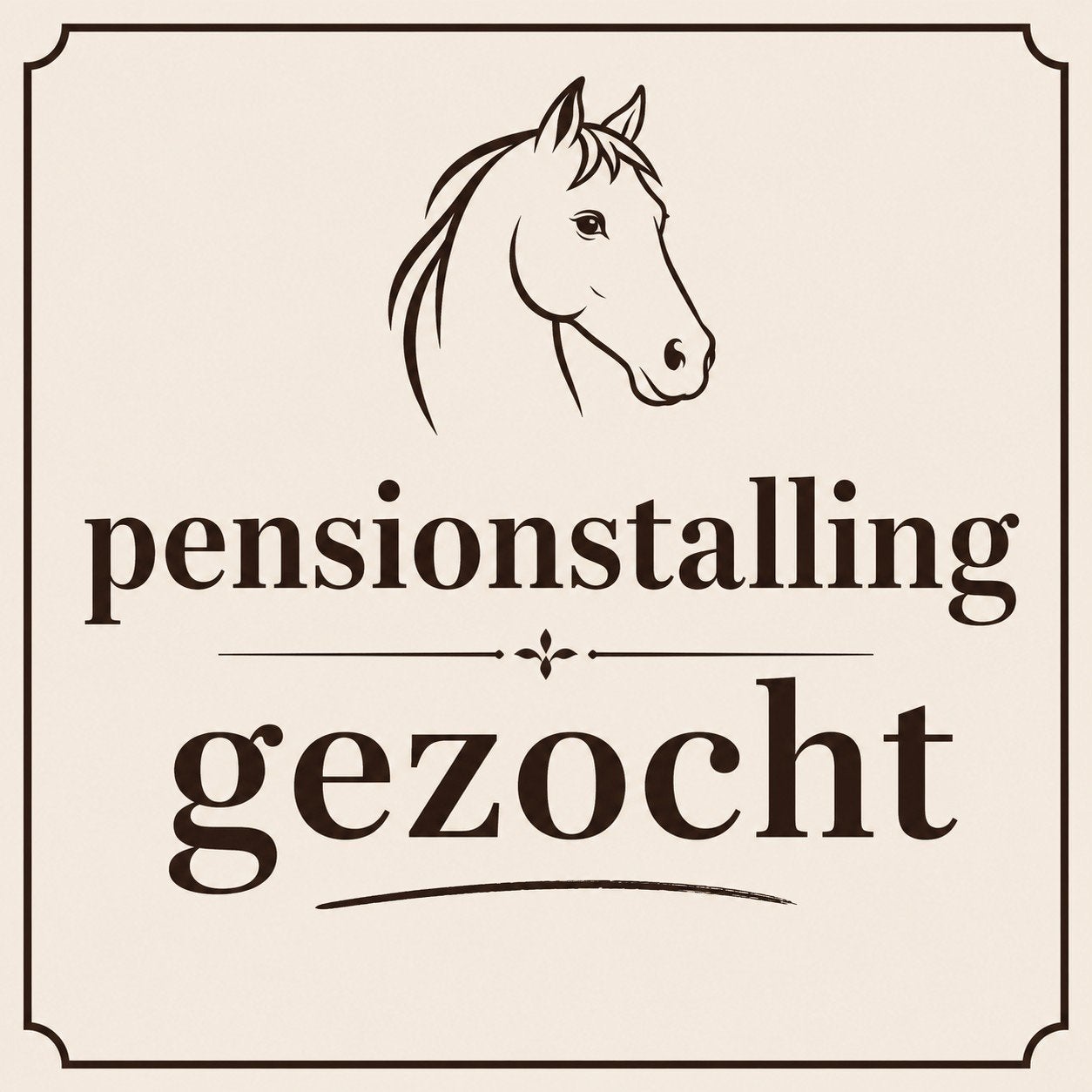 Gezocht: fijne plek voor ons paard, aan huis of pensionstal