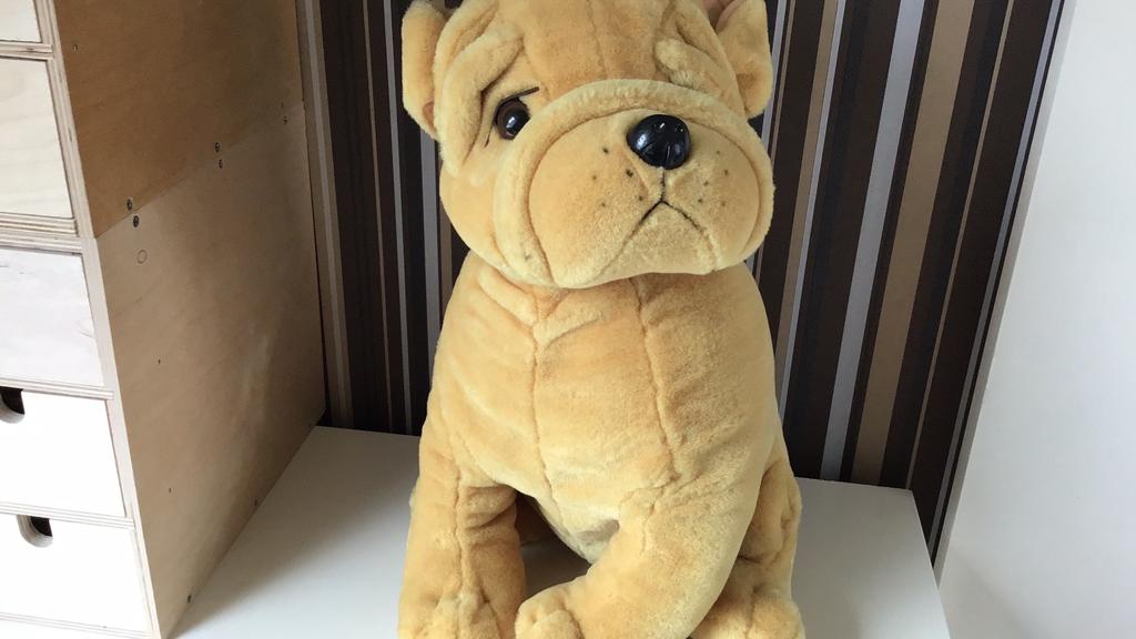 Hond, Kinderen en Baby's, Ophalen, Zo goed als nieuw, Hond