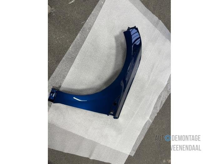 Scherm links-voor van een Renault Talisman (TERPR), -, Renault, -, Nieuw