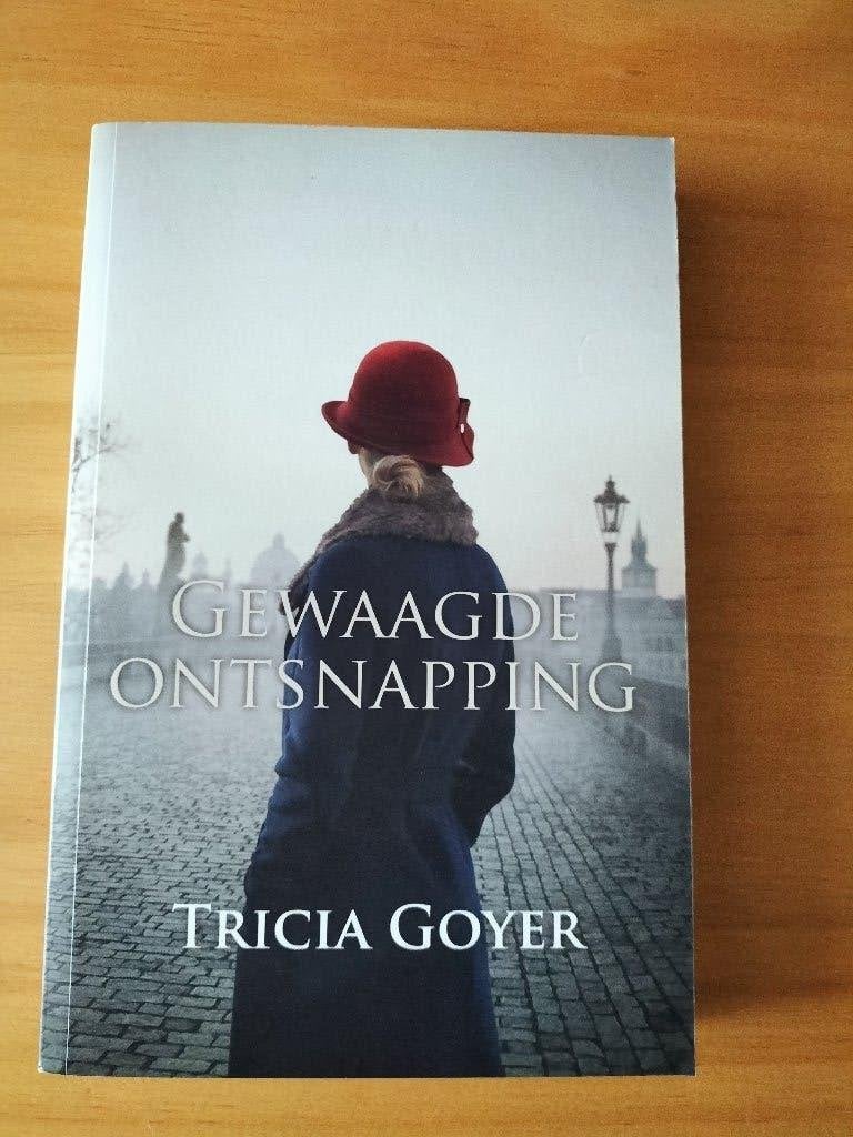 Gewaagde Ontsnapping - Tricia Goyer (Oorlogsroman), Boeken, Ophalen of Verzenden, Zo goed als nieuw, Tricia Goyer, Europa overig