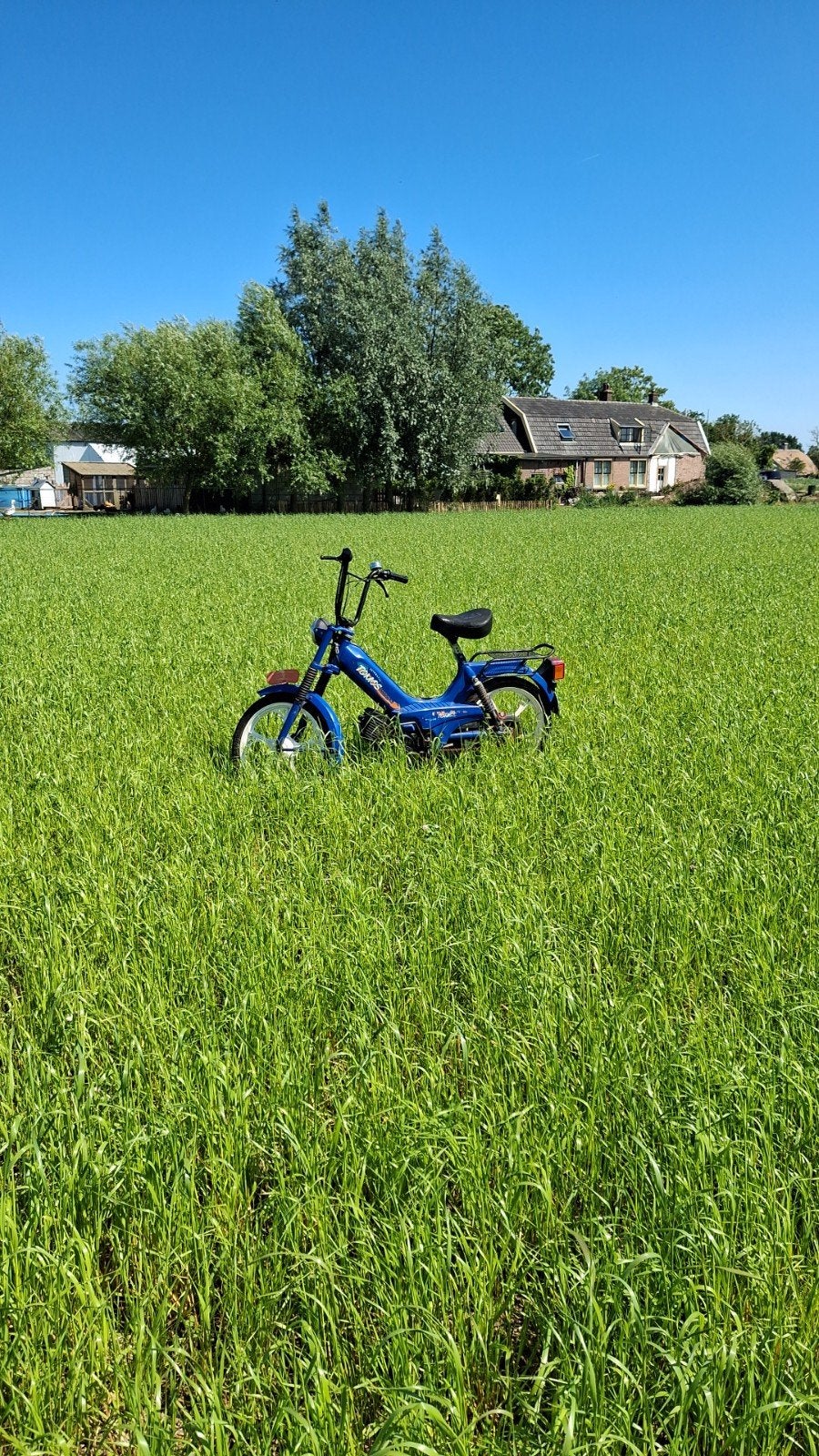 Tomos gezocht: moet lopen, onbegrensd, geen kenteken, Fietsen en Brommers, Brommers | Tomos, Ophalen of Verzenden