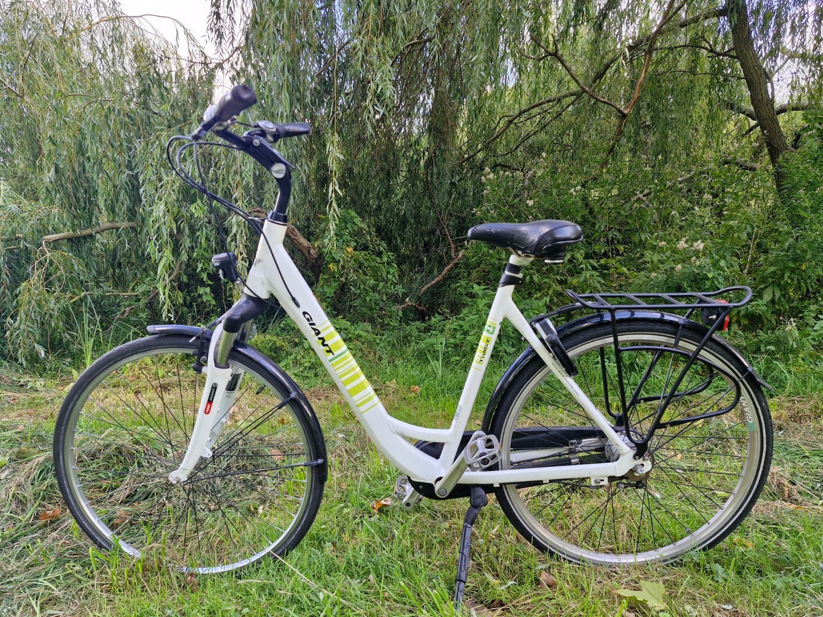 Giant damesfiets in goede staat, 55 tot 59 cm, Ophalen, Zo goed als nieuw, Overige merken