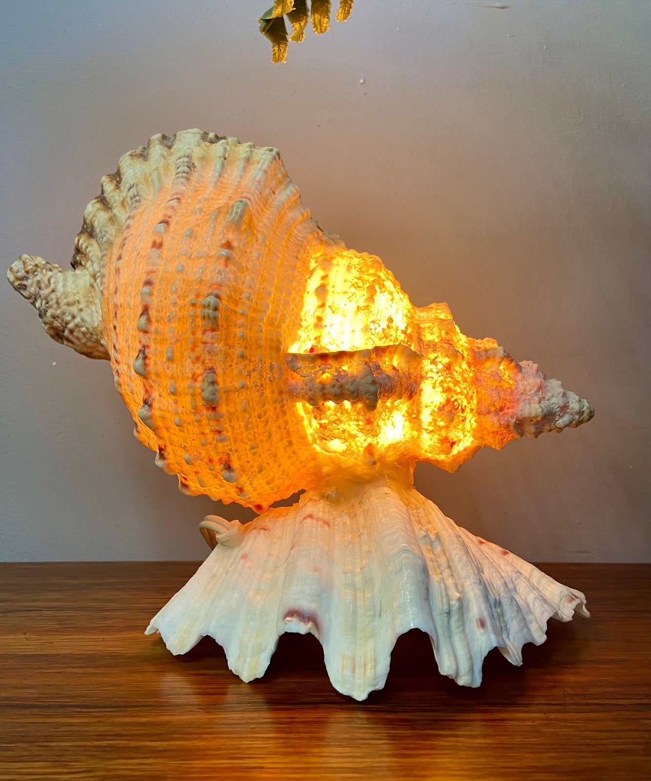 Prachtige grote vintage schelpenlamp retro lamp, Huis en Inrichting, Lampen | Tafellampen, Ophalen, Overige materialen, Zo goed als nieuw