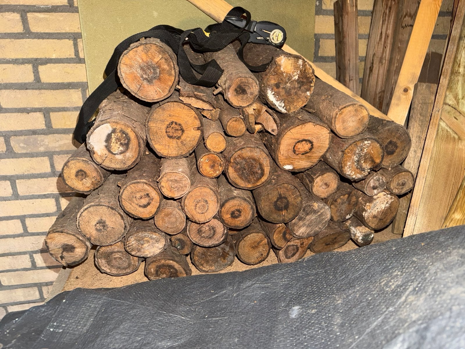 Bundel haardhout droog, Minder dan 3 m³, Ophalen, Stammen