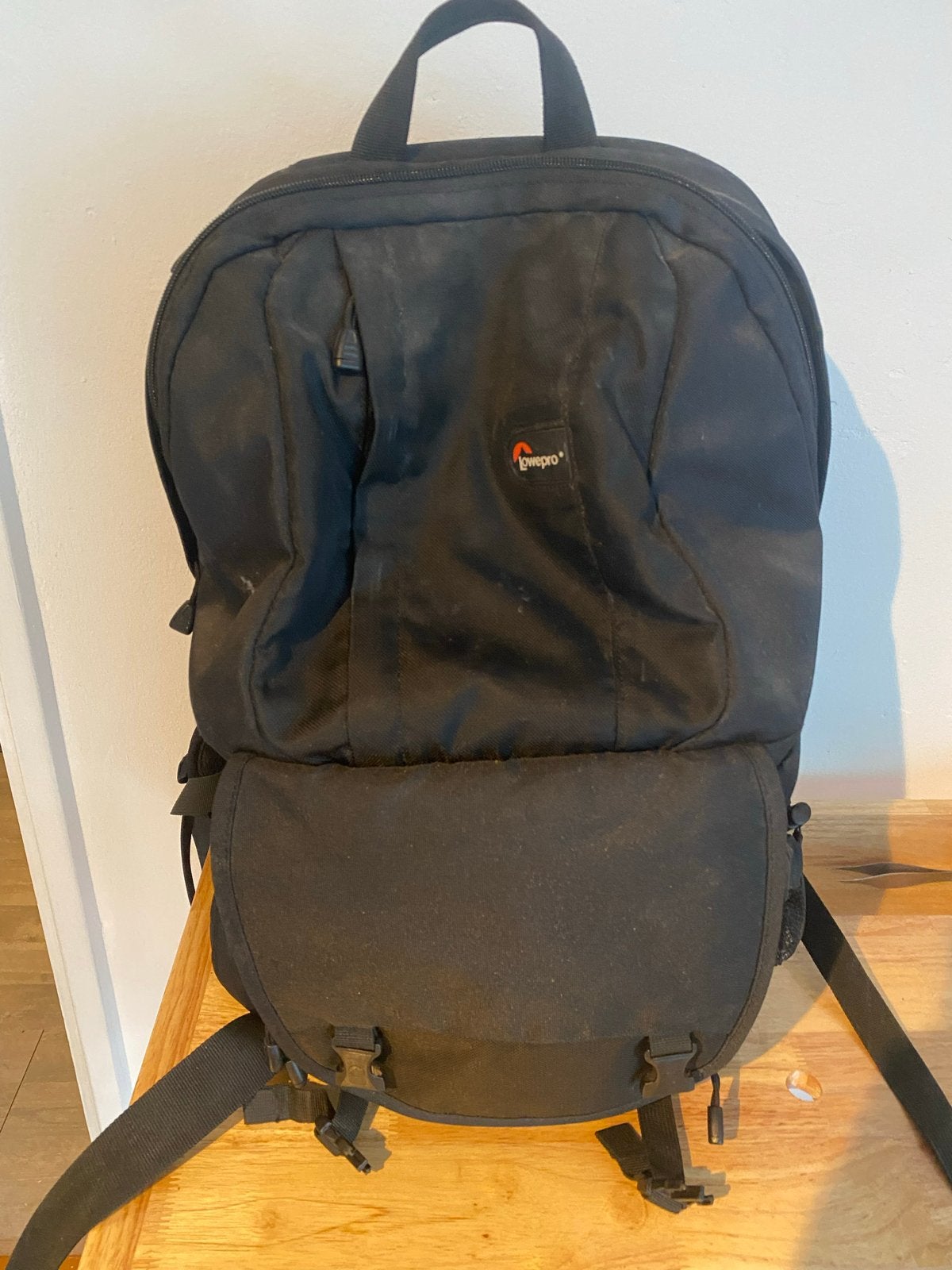 Lowepro Cameratas Rugzak - Gebruikt, Audio, Tv en Foto, Fotografie | Fototassen, Ophalen, Gebruikt, Rugtas, Lowepro