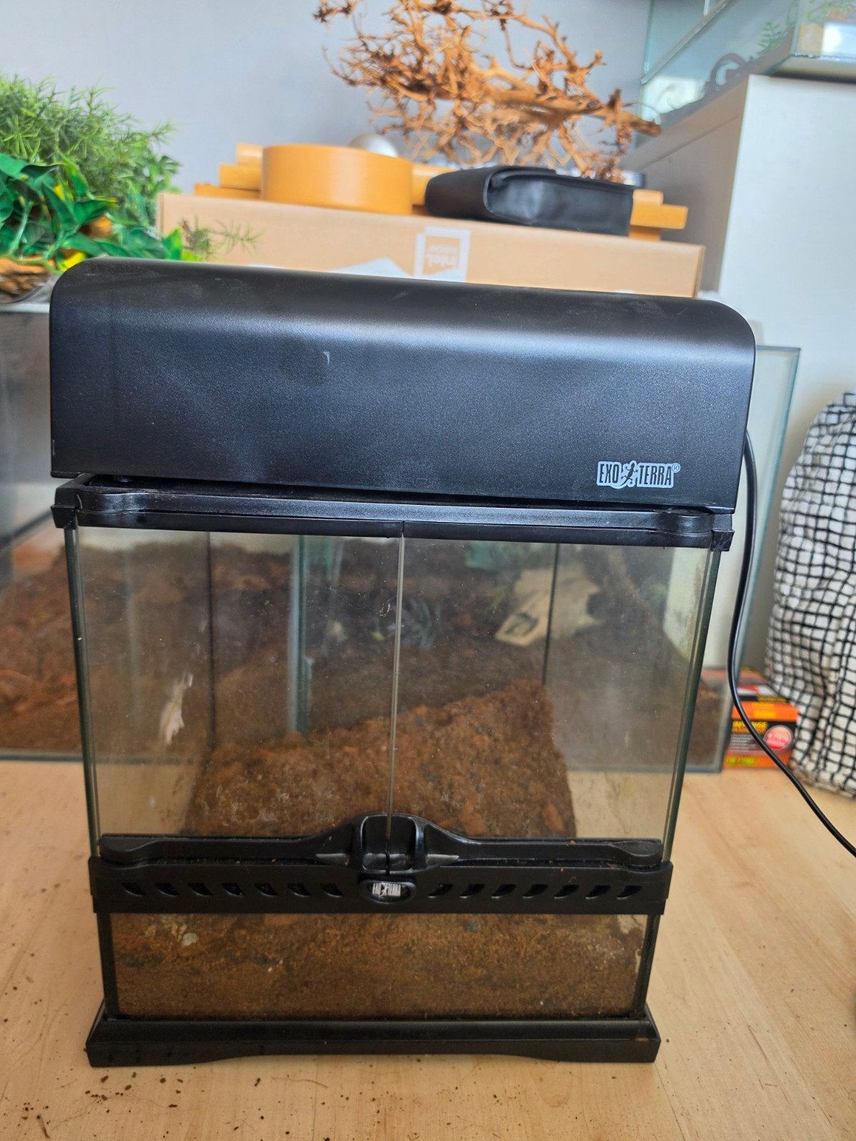 5x Exo terra terrarium 30x30x30 met lichtkap, Dieren en Toebehoren, Ophalen, Gebruikt, Terrarium of Paludarium
