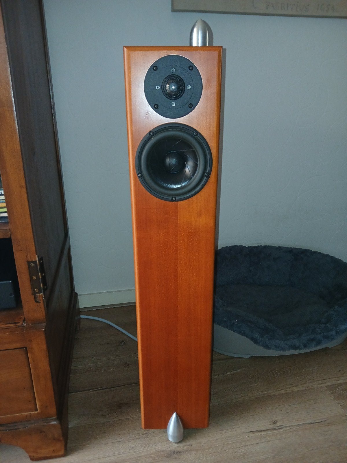 Totem Hawk Vloerstaande Luidsprekers - Hoogwaardig Geluid, Vloerstaande luidspreker, Gebruikt, 60 tot 120 watt, Ophalen
