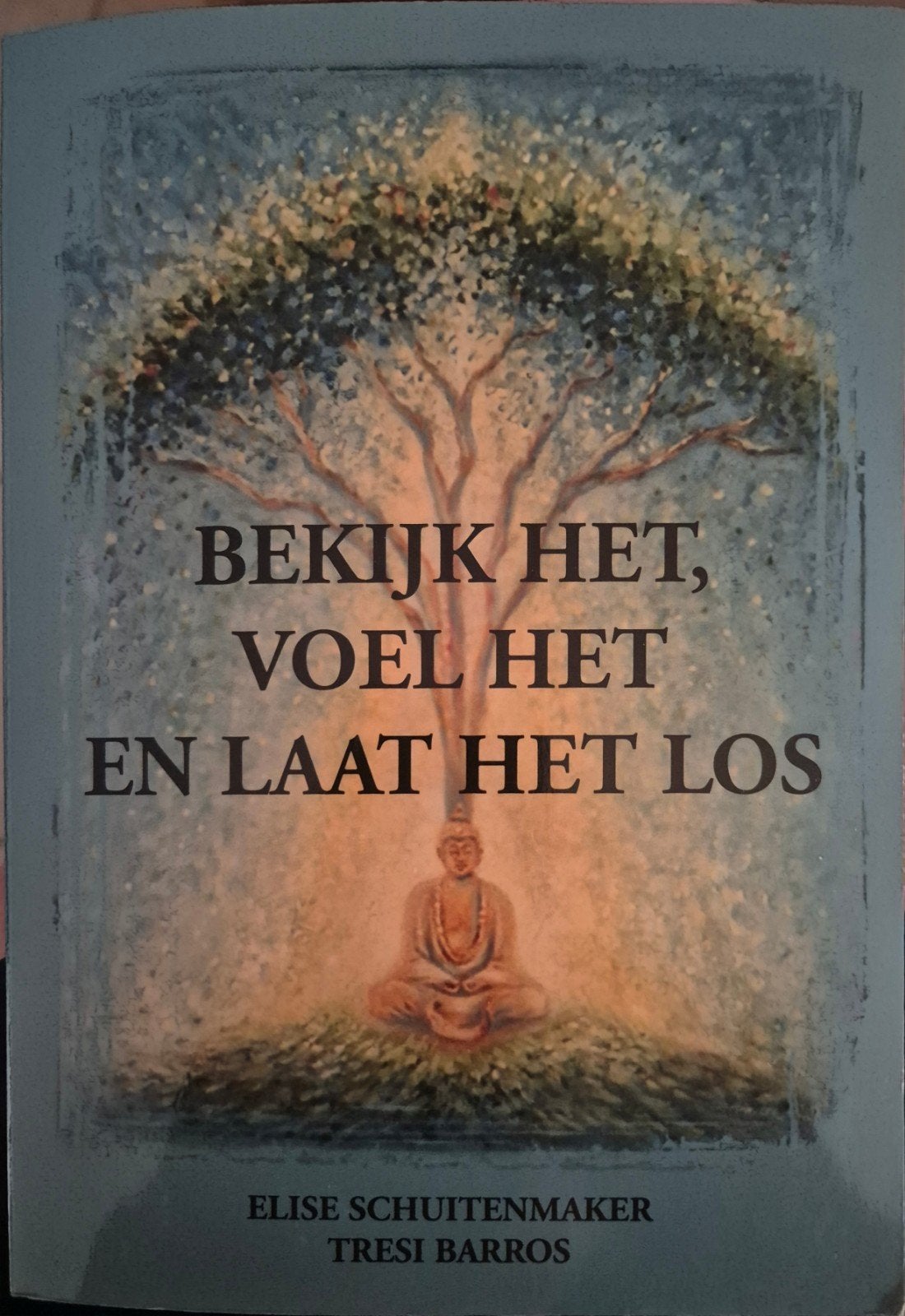 Bekijk het, voel het en laat het los - Spiritualiteit, Ophalen, Achtergrond en Informatie, Spiritualiteit algemeen, Zo goed als nieuw
