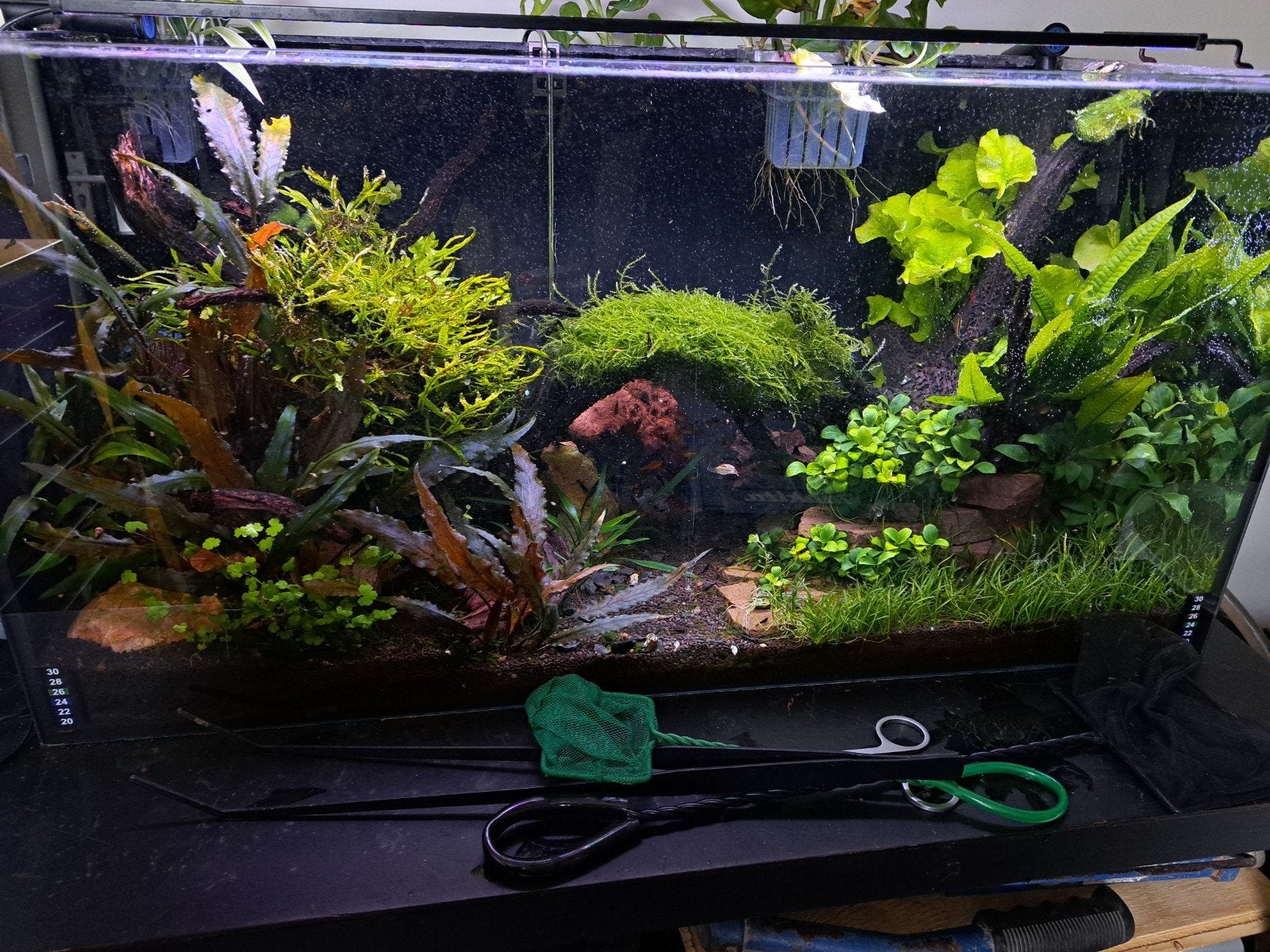 Aquarium 80cm, Dieren en Toebehoren, Ophalen, Leeg aquarium