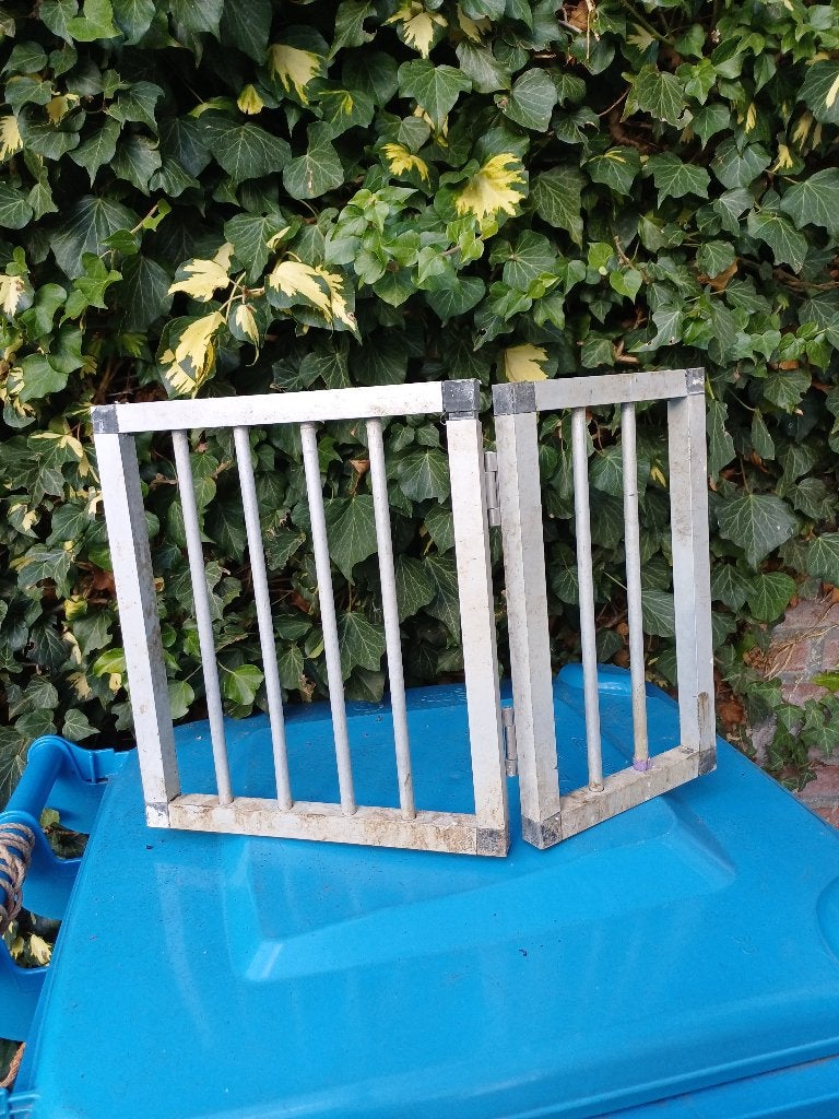 te  koop aluminium frontjes, Dieren en Toebehoren, Mannelijk, Postduif