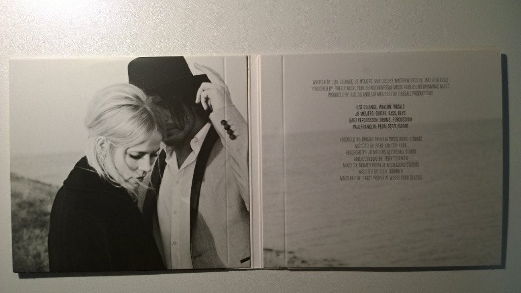 The Common Linnets - Calm After The Storm, Ophalen of Verzenden, Zo goed als nieuw, Country en Western