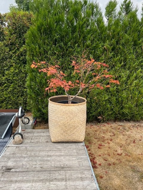 XXL Planten Potten voor Buiten Gebruik - Merk Flamand, Tuin en Terras, Ophalen, Overige materialen, 40 cm of meer, Rond