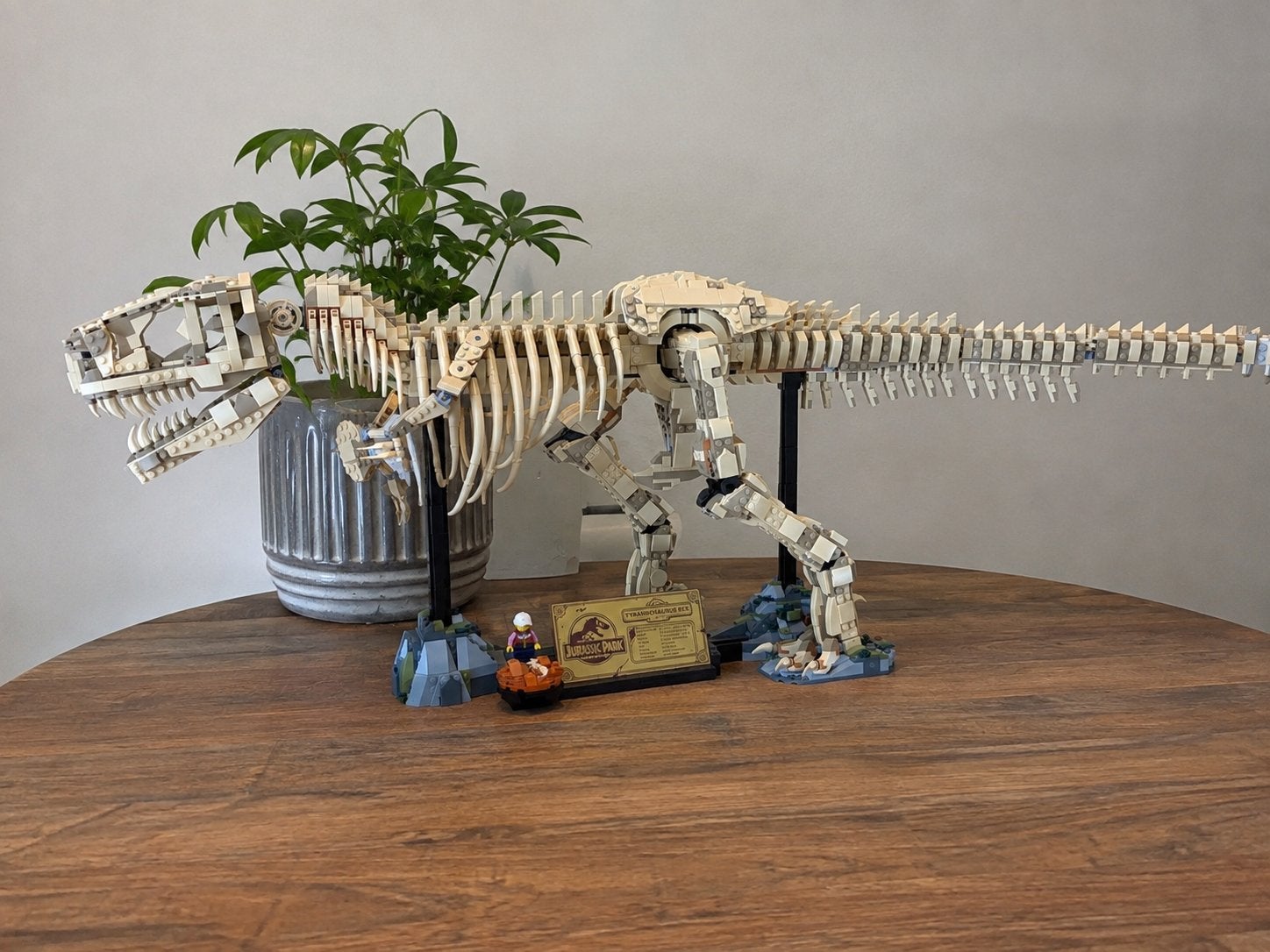 LEGO Jurassic Park T-Rex Skelet – compleet met doos, Ophalen, Zo goed als nieuw