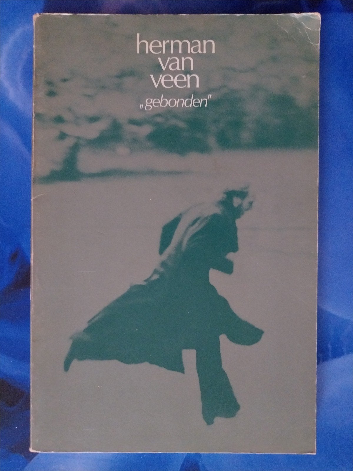 BOEK - HERMAN VAN VEEN  - GEBONDEN, Ophalen of Verzenden, Gelezen, Herman van Veen