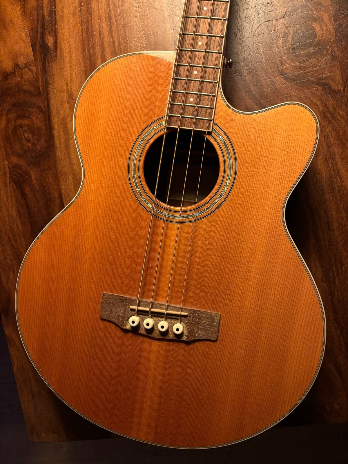 Cort SJB6FX Semi-akoestische Basgitaar + Gigbag, Ophalen, Zo goed als nieuw, Akoestisch