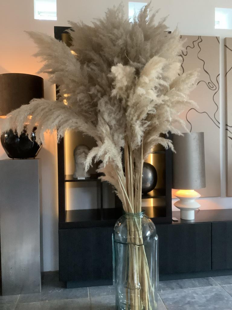 Grote gedroogde pampas pluimen - 20 stuks, 180 cm hoog, Huis en Inrichting, Woonaccessoires | Droogbloemen, Ophalen, Zo goed als nieuw