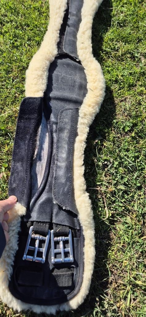 Anatomische wollen dressuursingel Werner Christ, Dieren en Toebehoren, Ophalen of Verzenden, Zo goed als nieuw, Dressuur