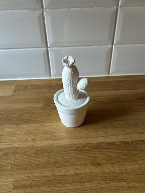 F22-beeld cactus 16cm, Ophalen of Verzenden, Gebruikt