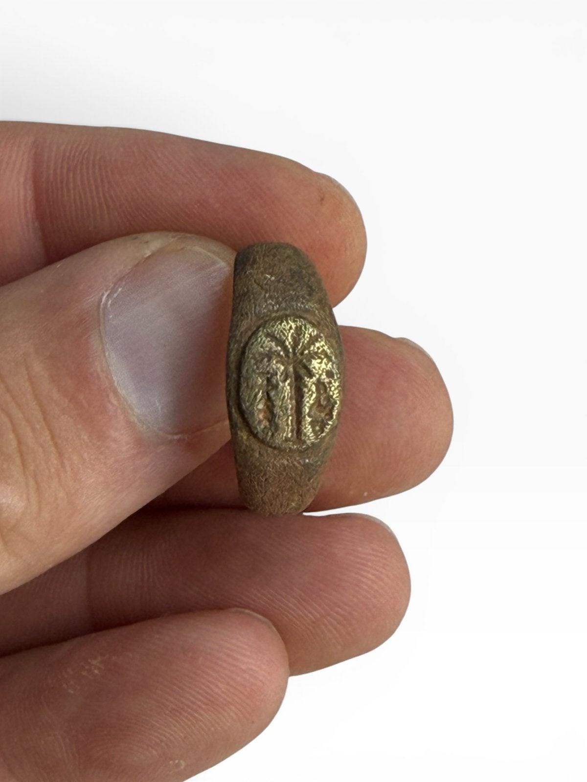 Prachtige Romeinse Bodemvondst Ring met Palmboom, Ophalen of Verzenden