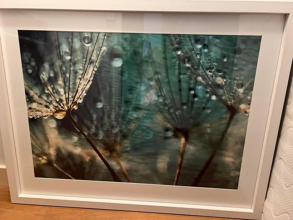 Sfeervolle ingelijste foto –  IN PRIJS VERLAAGD, Ophalen