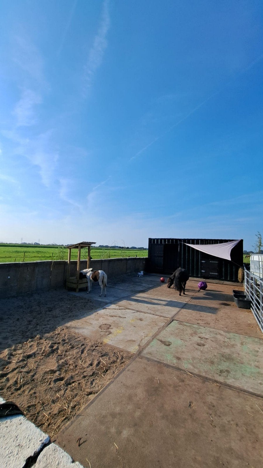 Stallen met grote uitloop !, Dieren en Toebehoren, Stalling en Weidegang, Stalling, 2 of 3 paarden of pony's