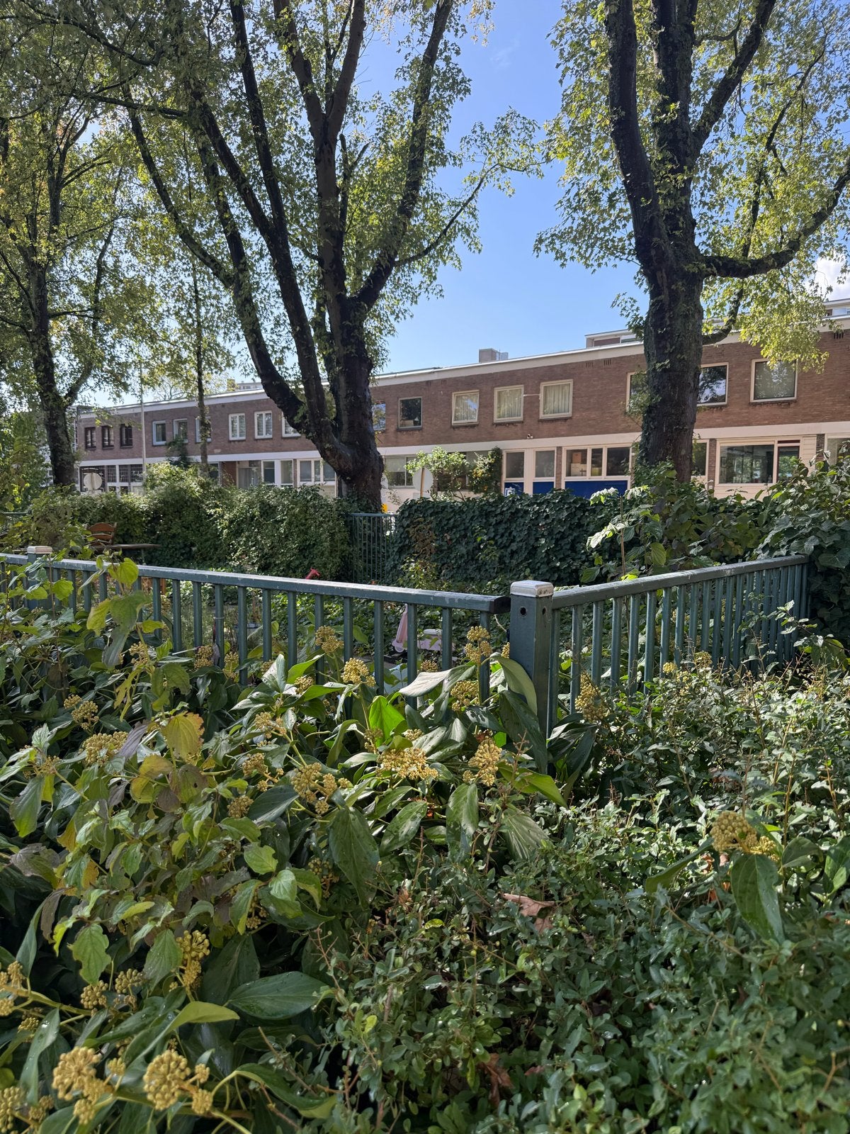 Robuust metalen hekwerk met poort, Ophalen, Met poort, Gebruikt, Spijlenhekwerk
