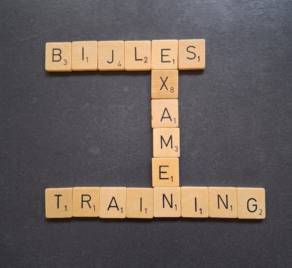 Bijles: o.a. Scheikunde Biologie Engels Spaans Frans, Privéles, Bijles