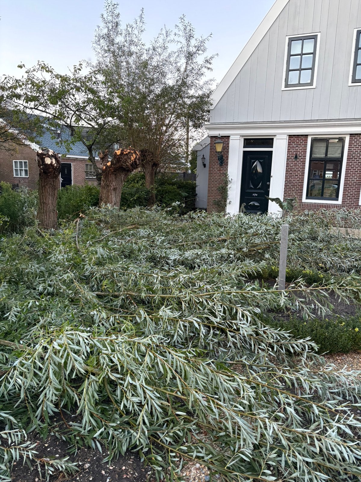 Wilgentenen / wilgentakken, Ophalen, Overige soorten