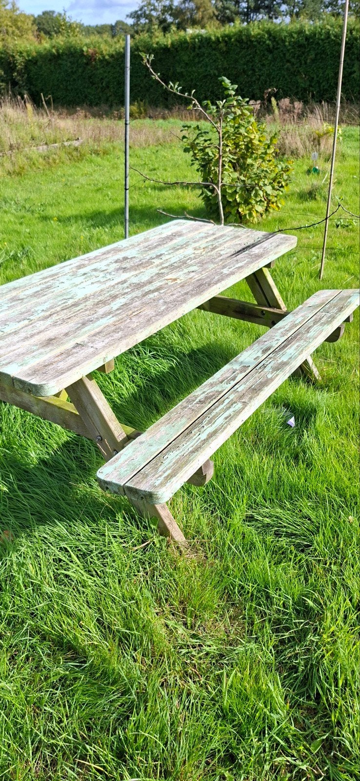 Gebruikte picknicktafel van hout, Ophalen, Gebruikt, Rechthoekig, Hout