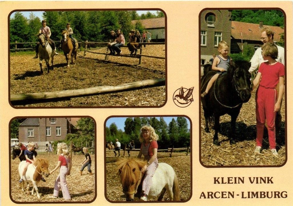 Klein Vink, Arcen-Limburg - 4 afb met paarden - 1985 gelopen, Ophalen of Verzenden, 1980 tot heden, Gelopen, Limburg