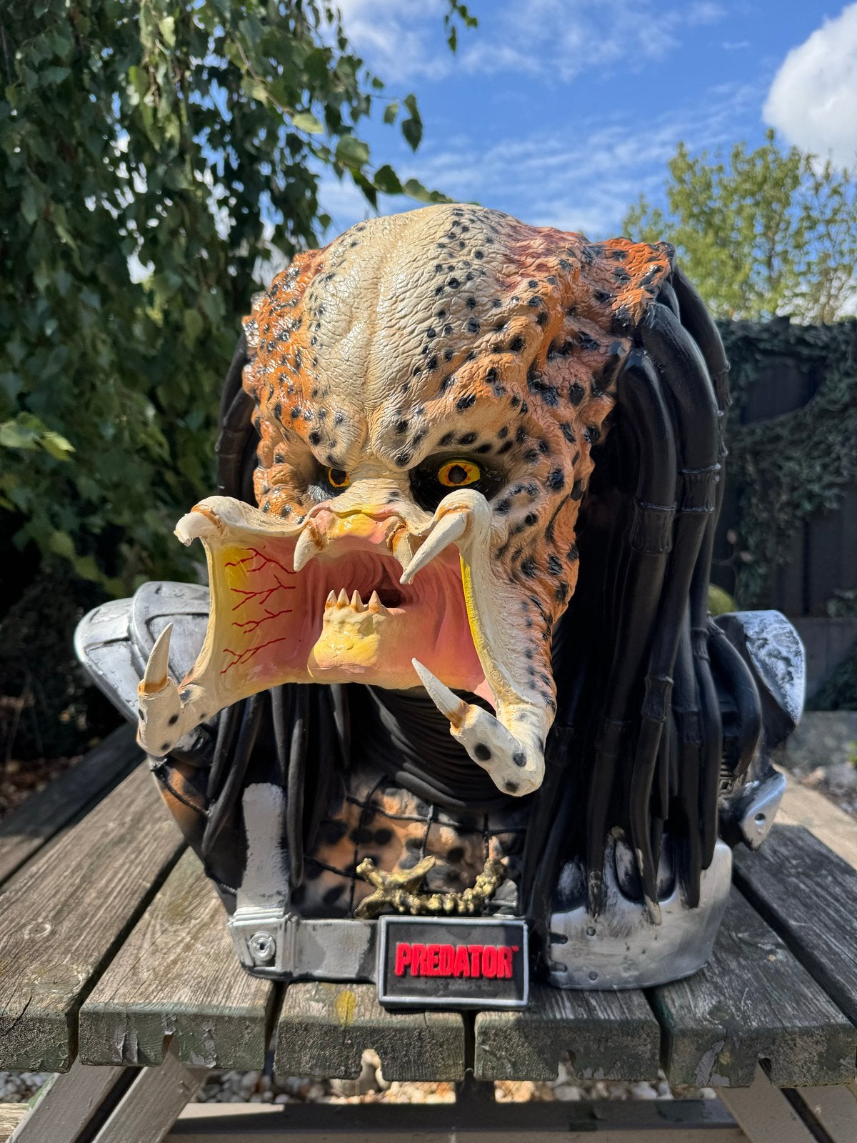 Predator Buste - Gedetailleerd Sci-Fi Verzamelobject, Ophalen, ., Zo goed als nieuw, .