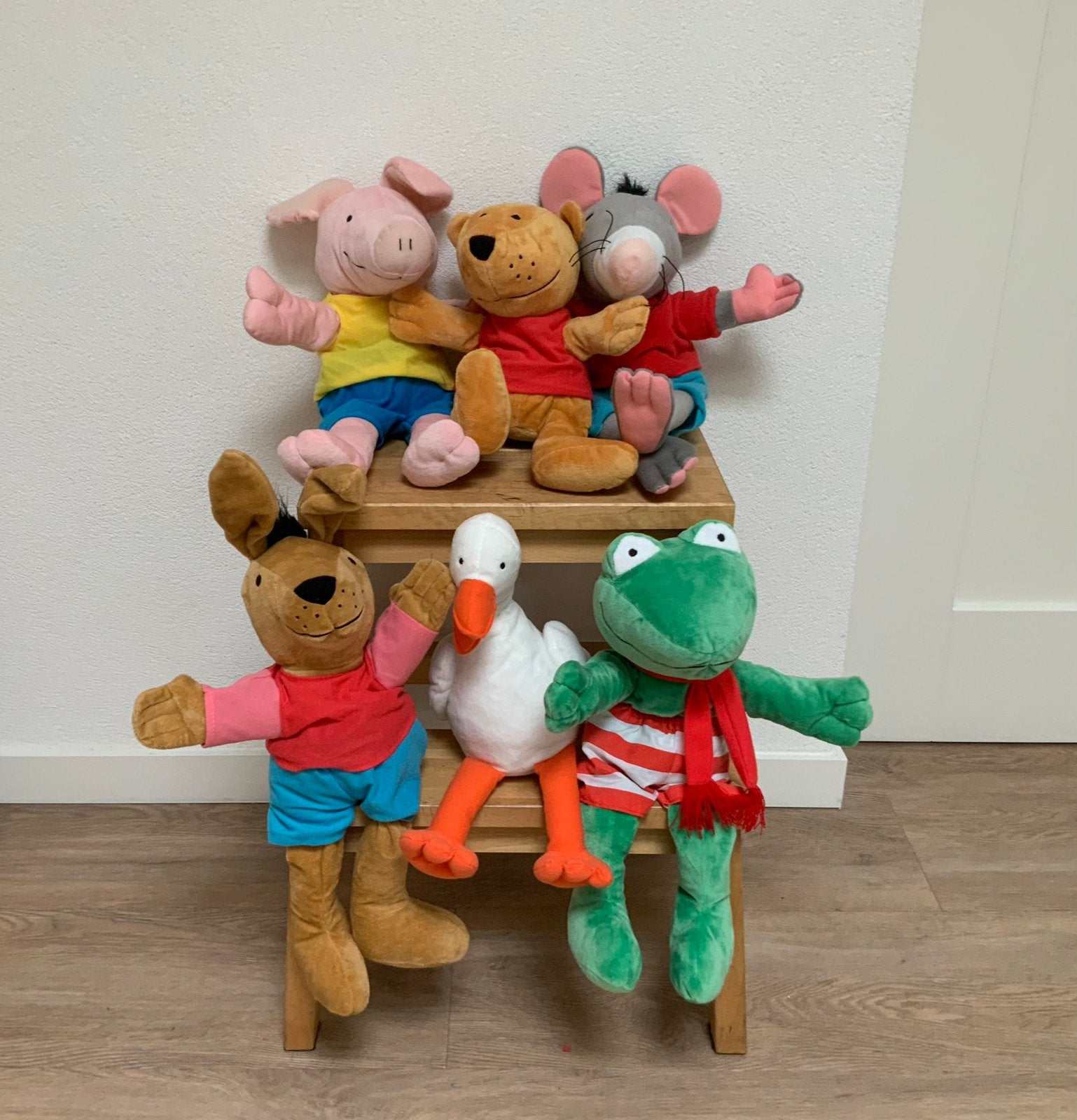 Set van 6 handpoppen kikker en vriendjes Max Velthuijs, Kinderen en Baby's, Speelgoed | Knuffels en Pluche, Ophalen of Verzenden