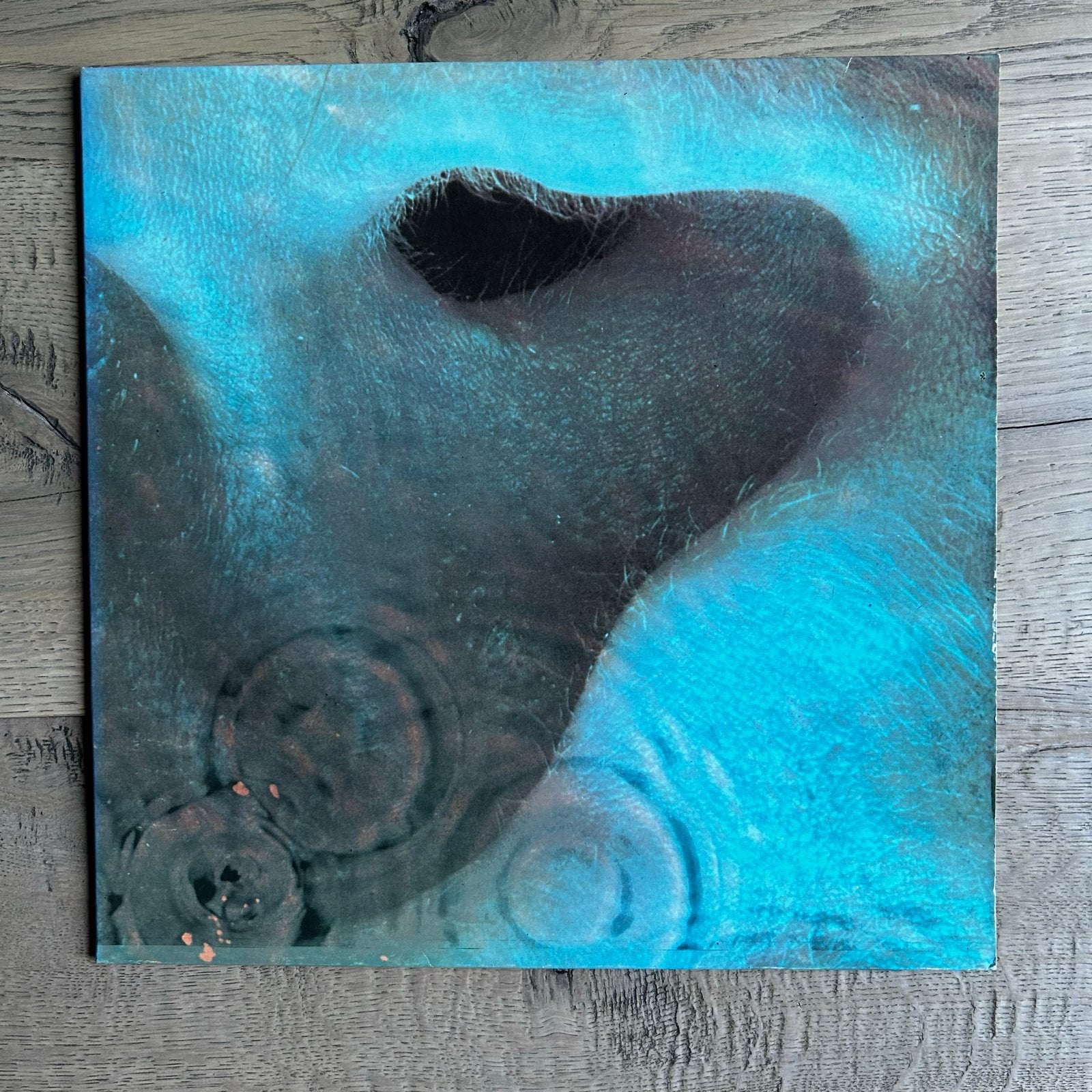 Pink Floyd - Meddle LP (reissue 1973), Cd's en Dvd's, LP, Progressive Rock, Reissue, Ophalen of Verzenden